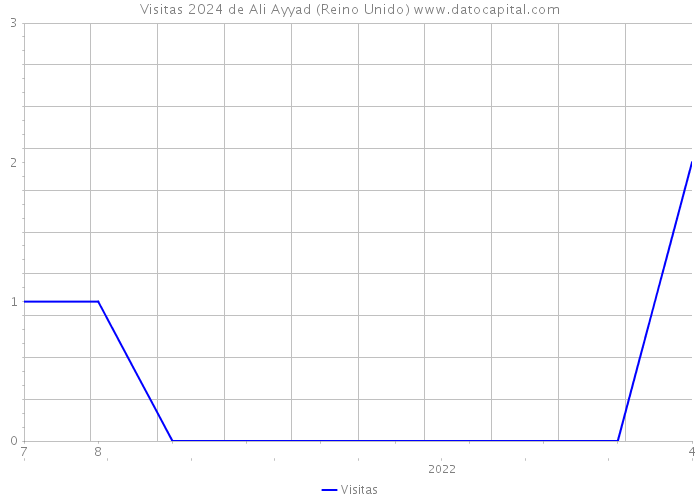 Visitas 2024 de Ali Ayyad (Reino Unido) 