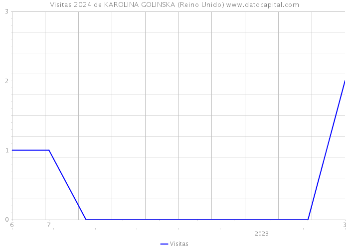 Visitas 2024 de KAROLINA GOLINSKA (Reino Unido) 