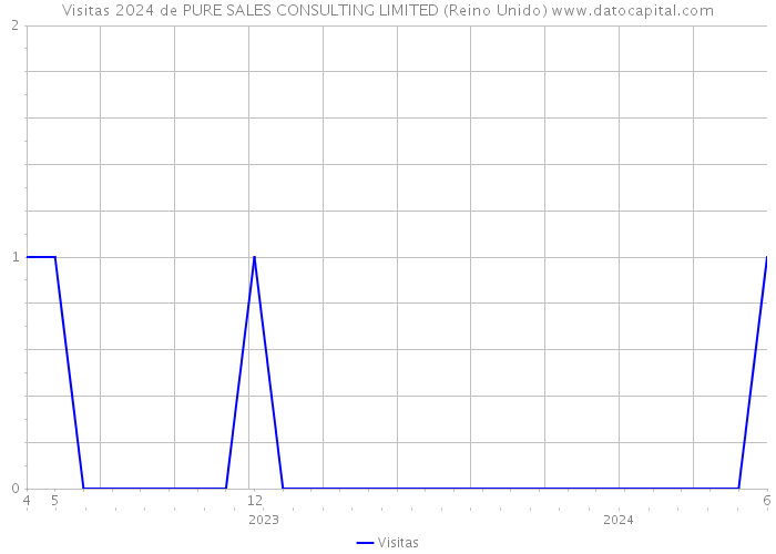 Visitas 2024 de PURE SALES CONSULTING LIMITED (Reino Unido) 