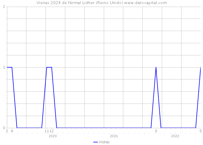 Visitas 2024 de Nirmal Lidher (Reino Unido) 