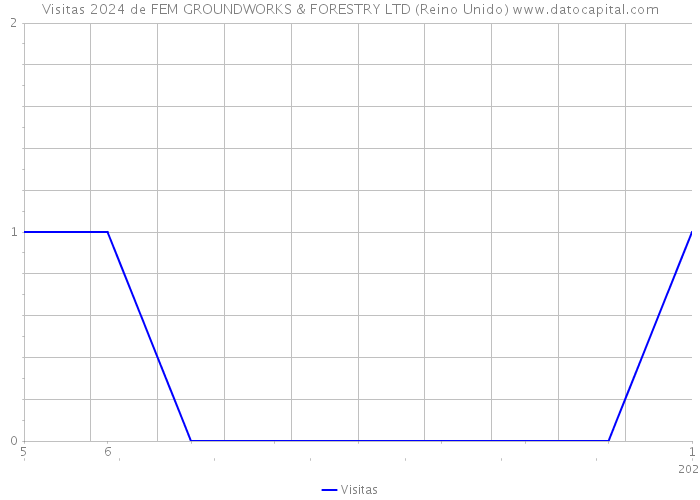 Visitas 2024 de FEM GROUNDWORKS & FORESTRY LTD (Reino Unido) 