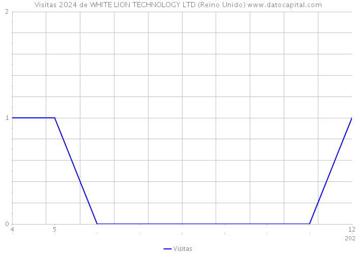 Visitas 2024 de WHITE LION TECHNOLOGY LTD (Reino Unido) 
