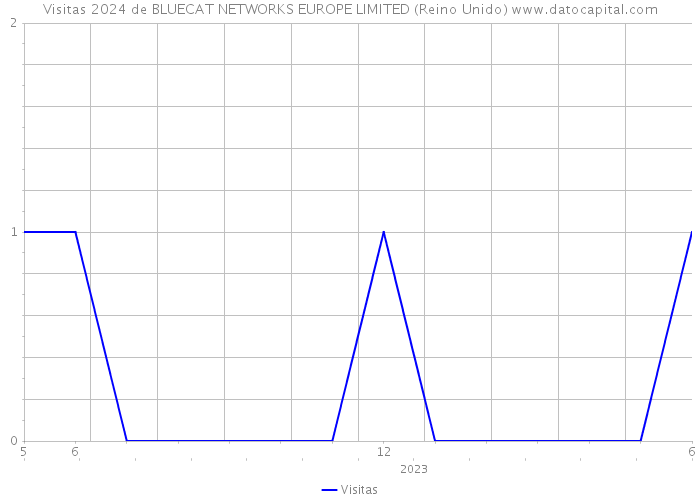 Visitas 2024 de BLUECAT NETWORKS EUROPE LIMITED (Reino Unido) 
