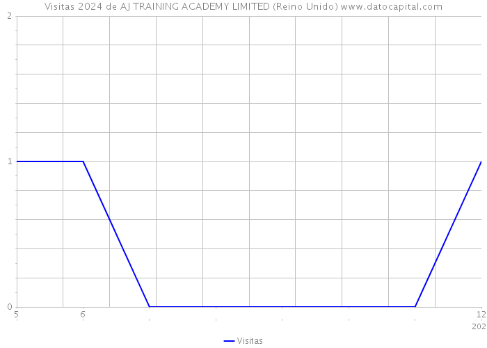 Visitas 2024 de AJ TRAINING ACADEMY LIMITED (Reino Unido) 