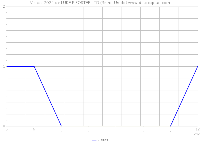 Visitas 2024 de LUKE P FOSTER LTD (Reino Unido) 