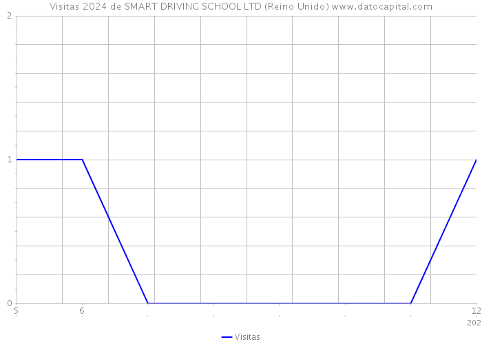 Visitas 2024 de SMART DRIVING SCHOOL LTD (Reino Unido) 