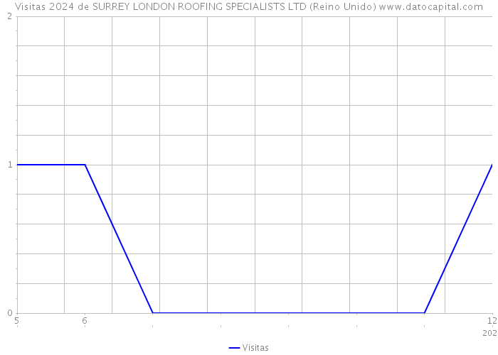 Visitas 2024 de SURREY LONDON ROOFING SPECIALISTS LTD (Reino Unido) 