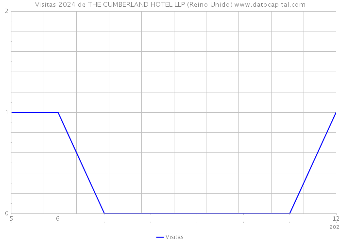 Visitas 2024 de THE CUMBERLAND HOTEL LLP (Reino Unido) 