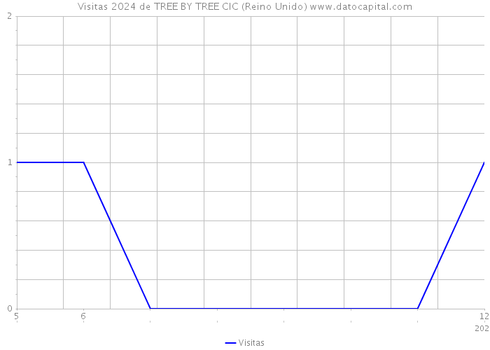 Visitas 2024 de TREE BY TREE CIC (Reino Unido) 