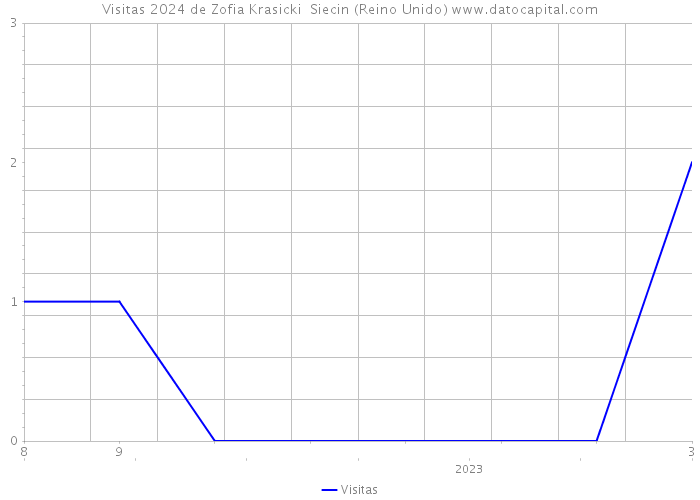 Visitas 2024 de Zofia Krasicki Siecin (Reino Unido) 