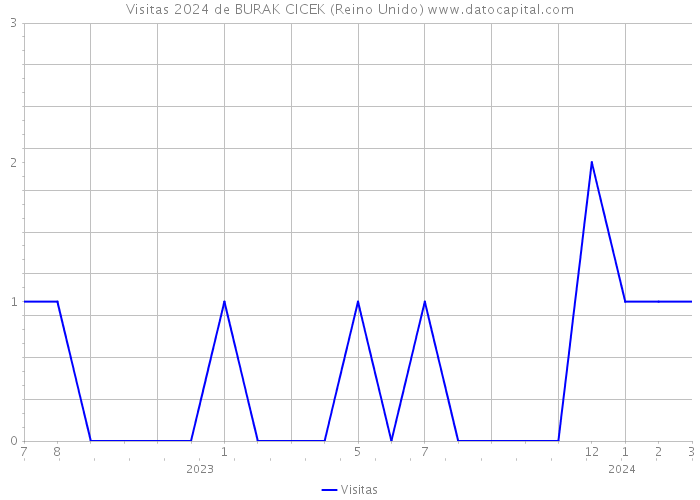 Visitas 2024 de BURAK CICEK (Reino Unido) 