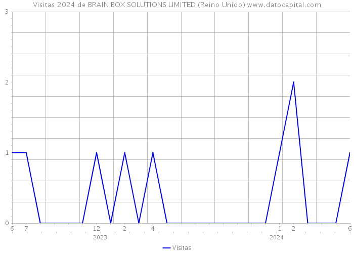 Visitas 2024 de BRAIN BOX SOLUTIONS LIMITED (Reino Unido) 