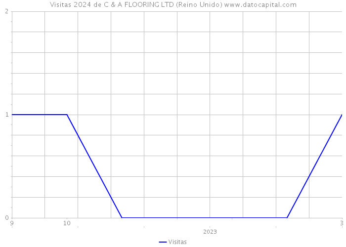 Visitas 2024 de C & A FLOORING LTD (Reino Unido) 