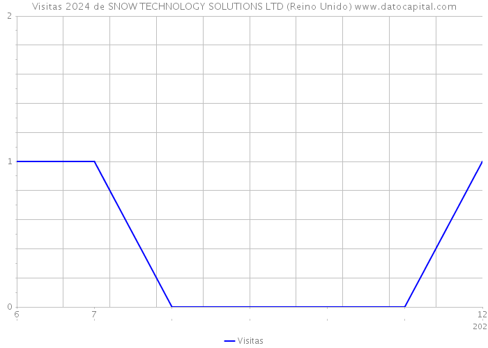 Visitas 2024 de SNOW TECHNOLOGY SOLUTIONS LTD (Reino Unido) 