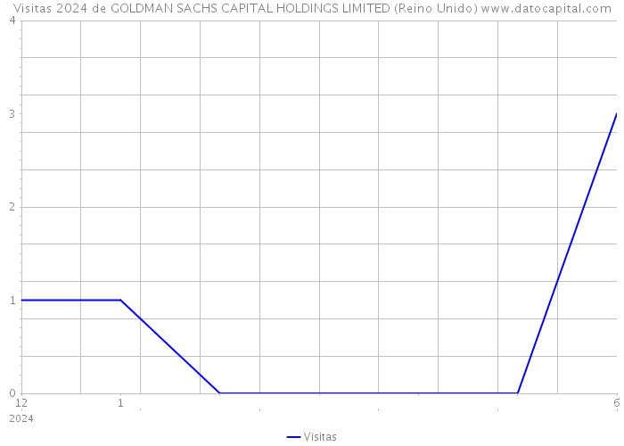 Visitas 2024 de GOLDMAN SACHS CAPITAL HOLDINGS LIMITED (Reino Unido) 