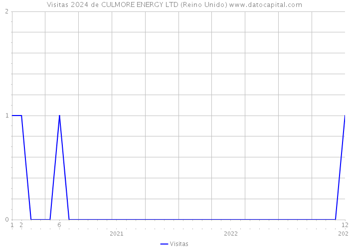 Visitas 2024 de CULMORE ENERGY LTD (Reino Unido) 