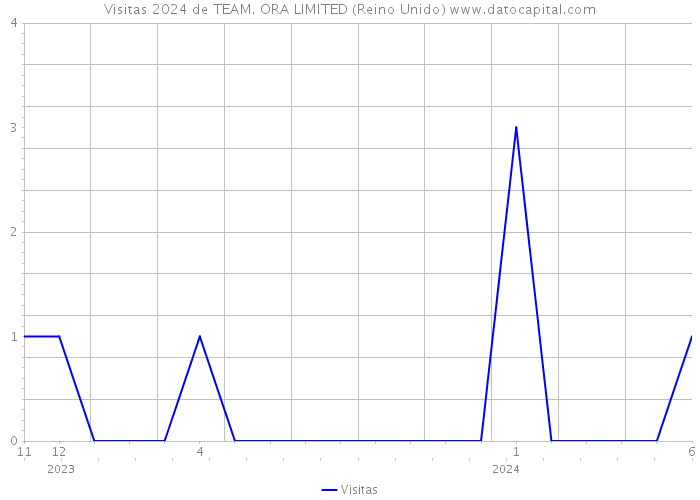 Visitas 2024 de TEAM. ORA LIMITED (Reino Unido) 