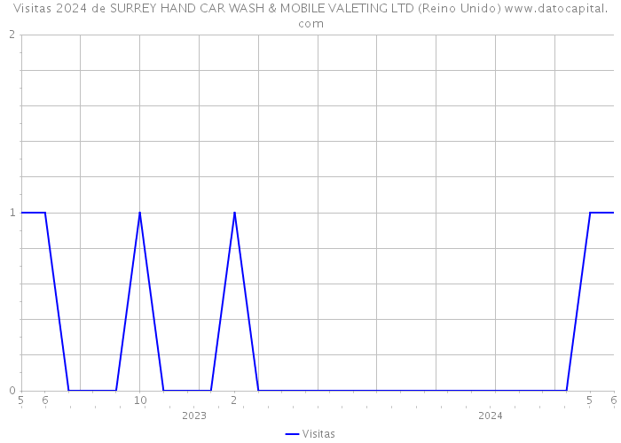 Visitas 2024 de SURREY HAND CAR WASH & MOBILE VALETING LTD (Reino Unido) 