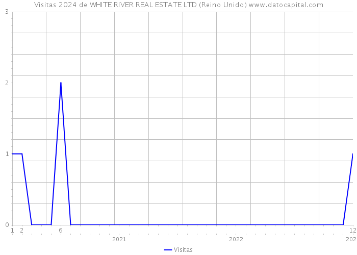 Visitas 2024 de WHITE RIVER REAL ESTATE LTD (Reino Unido) 