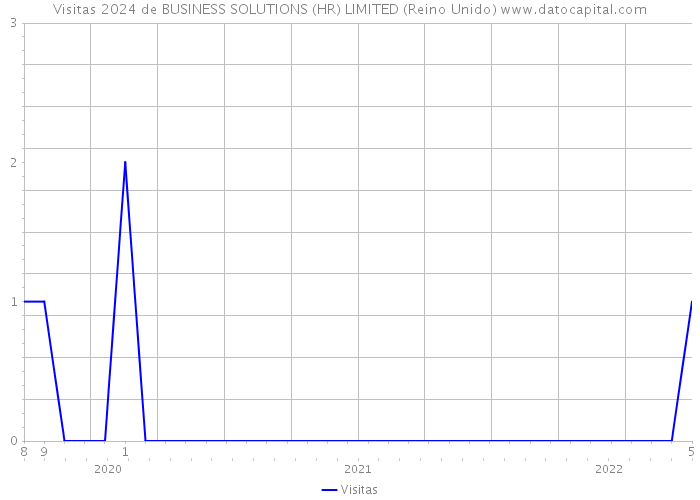 Visitas 2024 de BUSINESS SOLUTIONS (HR) LIMITED (Reino Unido) 