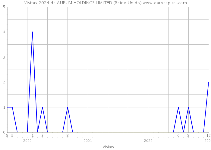 Visitas 2024 de AURUM HOLDINGS LIMITED (Reino Unido) 