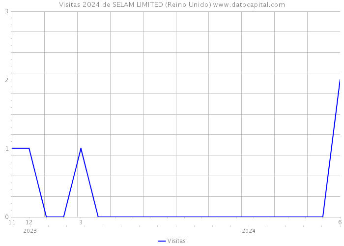 Visitas 2024 de SELAM LIMITED (Reino Unido) 