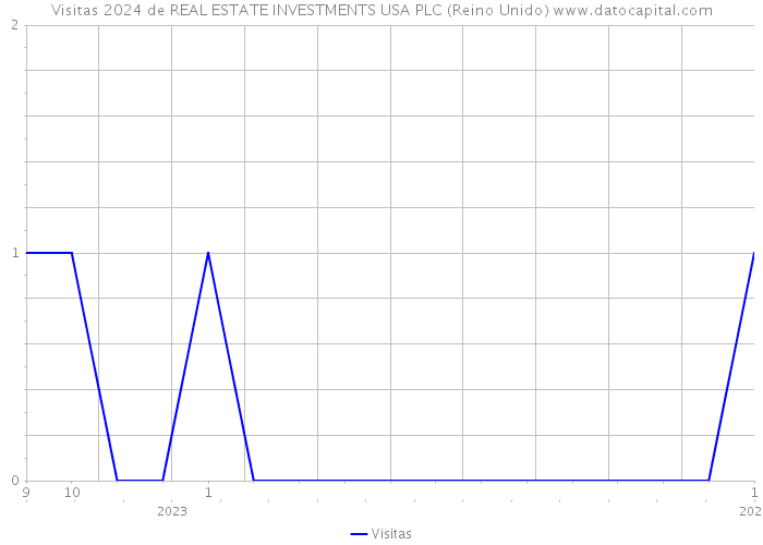 Visitas 2024 de REAL ESTATE INVESTMENTS USA PLC (Reino Unido) 