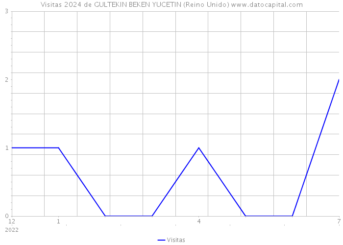 Visitas 2024 de GULTEKIN BEKEN YUCETIN (Reino Unido) 