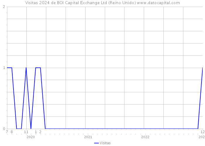 Visitas 2024 de BOI Capital Exchange Ltd (Reino Unido) 