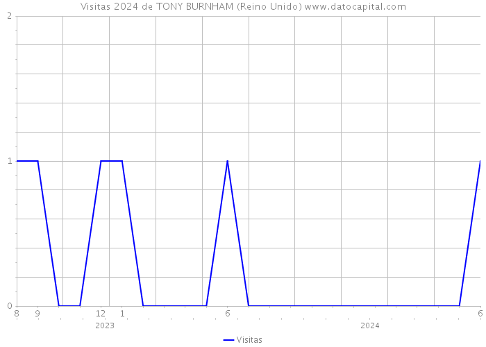 Visitas 2024 de TONY BURNHAM (Reino Unido) 