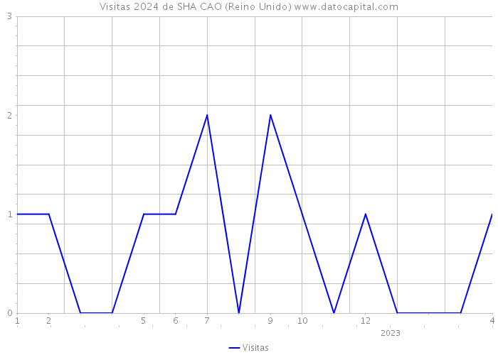 Visitas 2024 de SHA CAO (Reino Unido) 