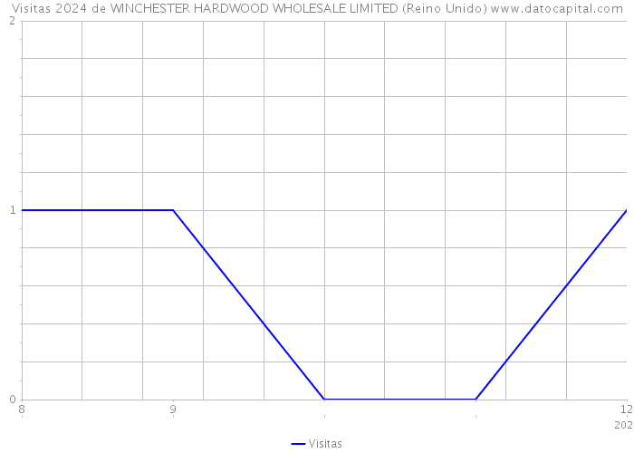 Visitas 2024 de WINCHESTER HARDWOOD WHOLESALE LIMITED (Reino Unido) 