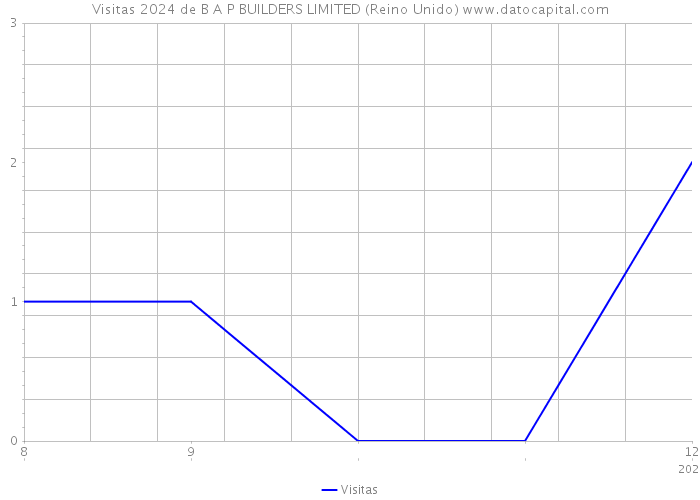 Visitas 2024 de B A P BUILDERS LIMITED (Reino Unido) 