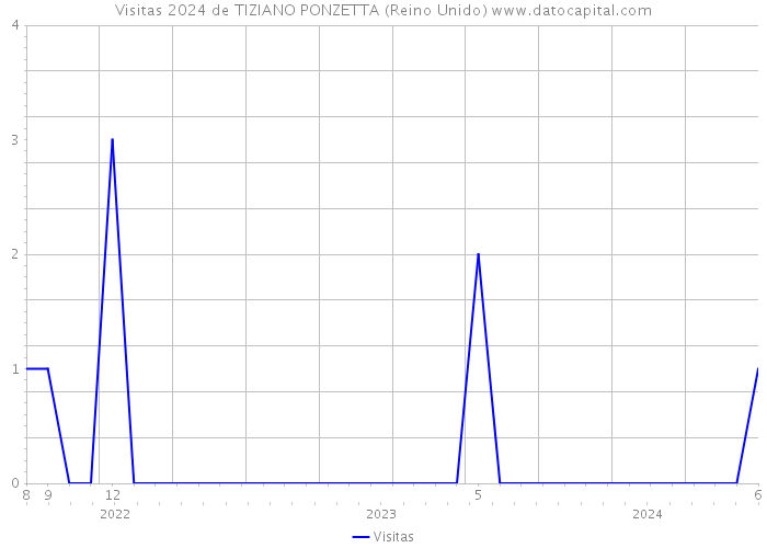 Visitas 2024 de TIZIANO PONZETTA (Reino Unido) 