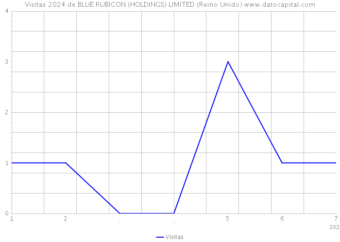 Visitas 2024 de BLUE RUBICON (HOLDINGS) LIMITED (Reino Unido) 