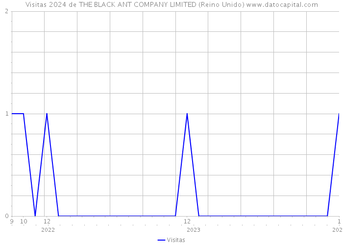 Visitas 2024 de THE BLACK ANT COMPANY LIMITED (Reino Unido) 
