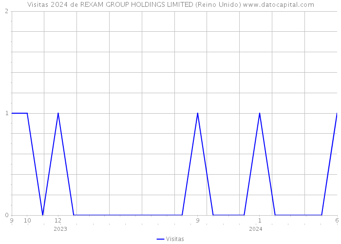 Visitas 2024 de REXAM GROUP HOLDINGS LIMITED (Reino Unido) 