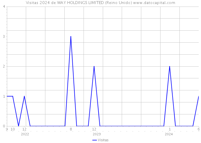 Visitas 2024 de WAY HOLDINGS LIMITED (Reino Unido) 