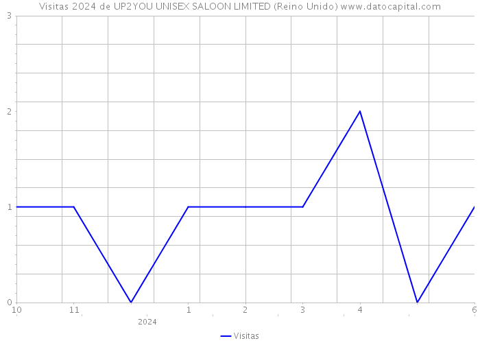 Visitas 2024 de UP2YOU UNISEX SALOON LIMITED (Reino Unido) 