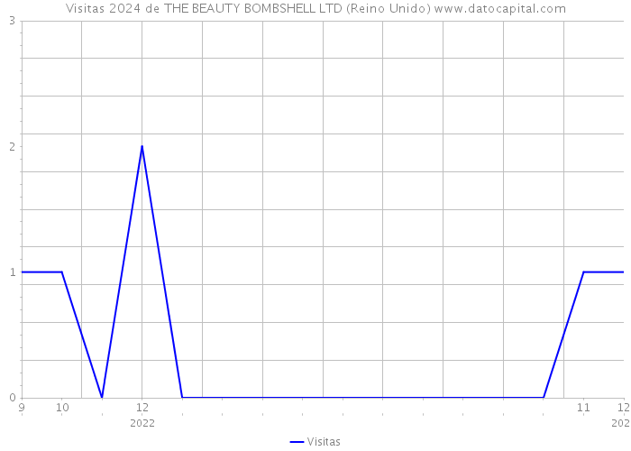 Visitas 2024 de THE BEAUTY BOMBSHELL LTD (Reino Unido) 