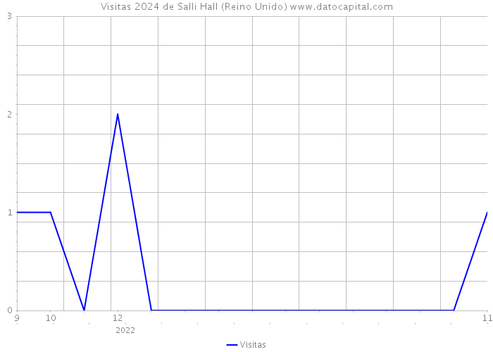 Visitas 2024 de Salli Hall (Reino Unido) 