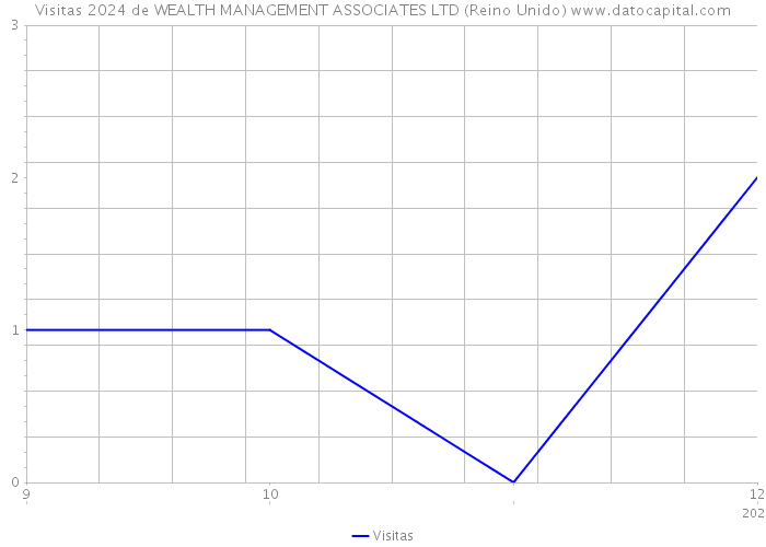 Visitas 2024 de WEALTH MANAGEMENT ASSOCIATES LTD (Reino Unido) 