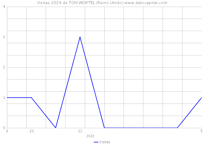 Visitas 2024 de TON WORTEL (Reino Unido) 