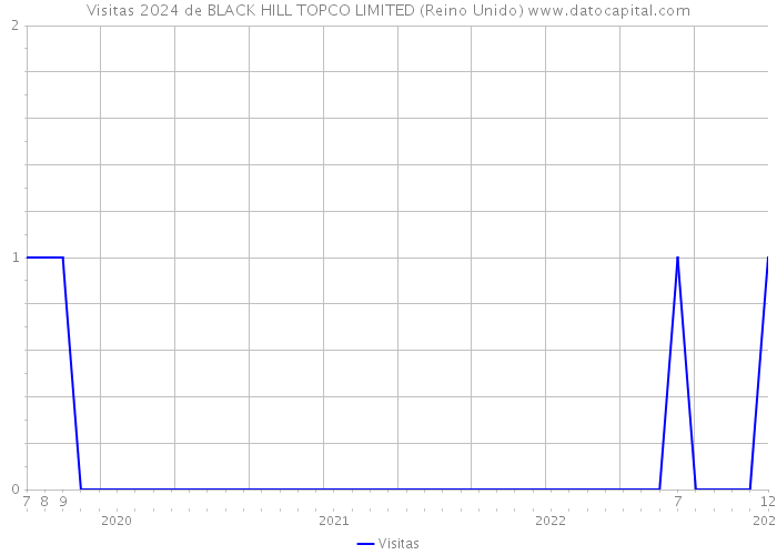 Visitas 2024 de BLACK HILL TOPCO LIMITED (Reino Unido) 