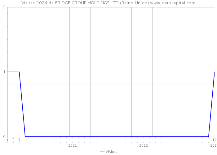 Visitas 2024 de BRIDGE GROUP HOLDINGS LTD (Reino Unido) 