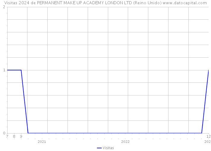 Visitas 2024 de PERMANENT MAKE UP ACADEMY LONDON LTD (Reino Unido) 