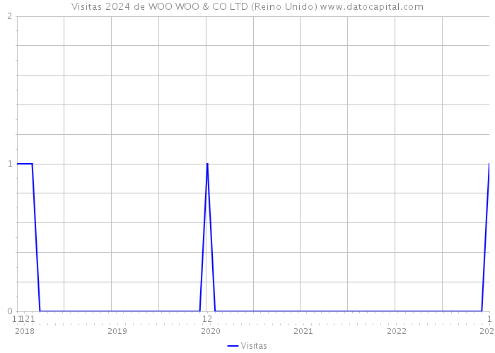 Visitas 2024 de WOO WOO & CO LTD (Reino Unido) 