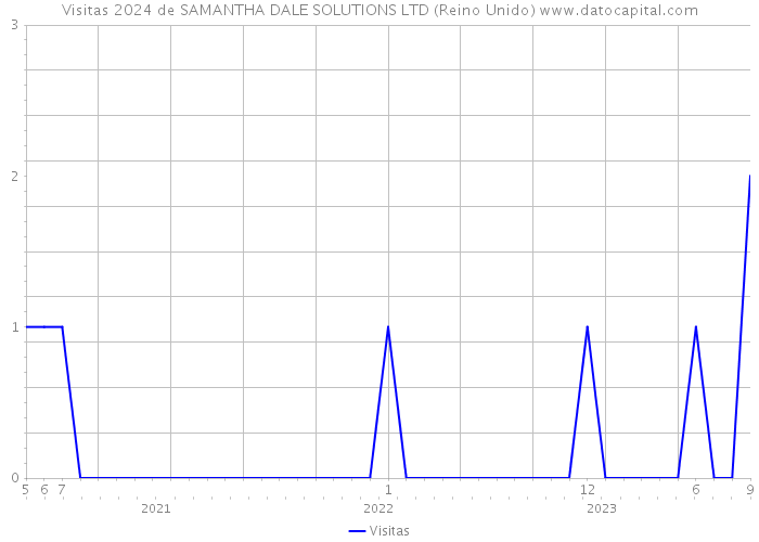 Visitas 2024 de SAMANTHA DALE SOLUTIONS LTD (Reino Unido) 