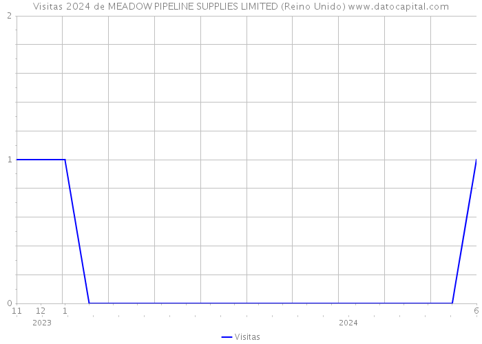 Visitas 2024 de MEADOW PIPELINE SUPPLIES LIMITED (Reino Unido) 