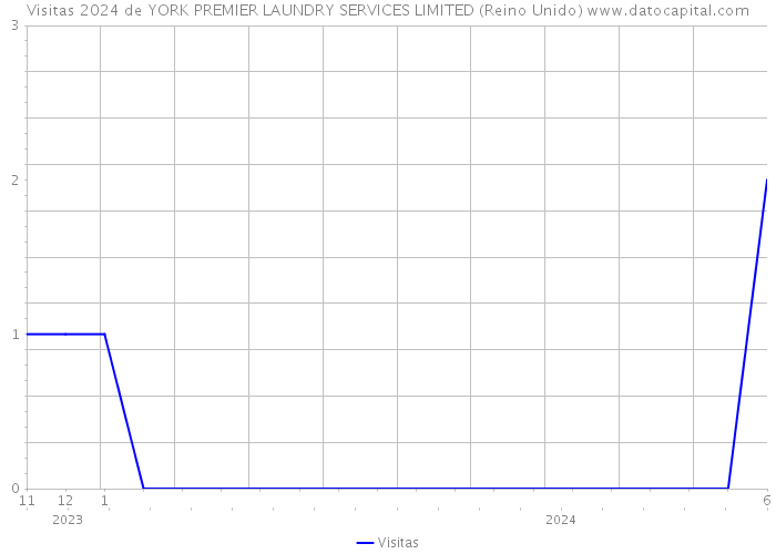 Visitas 2024 de YORK PREMIER LAUNDRY SERVICES LIMITED (Reino Unido) 